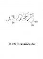 บราสสิโนไลด์ (Brassinolide)