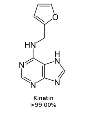 ไคเนติน (Kinetin)