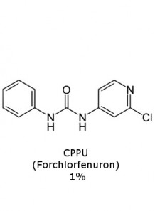 CPPU (Forchlorfenuron) 1%