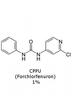 CPPU (Forchlorfenuron) 1%